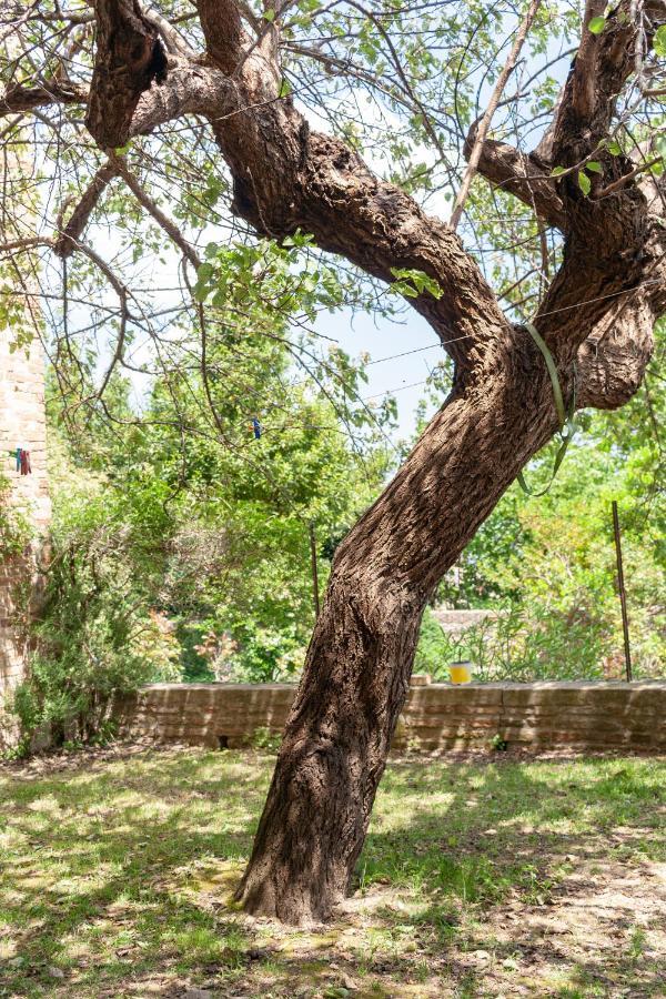 דירות Urbino Experience מראה חיצוני תמונה